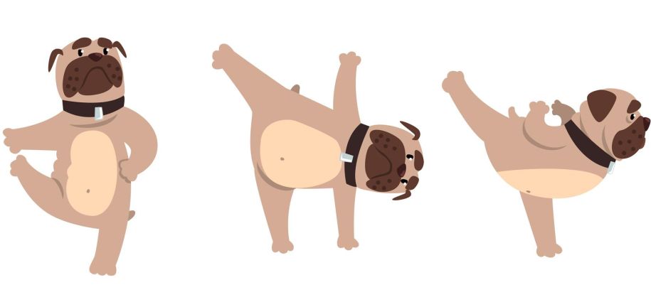  愛犬が何か変なことをしているのに気づいたことがありますか？