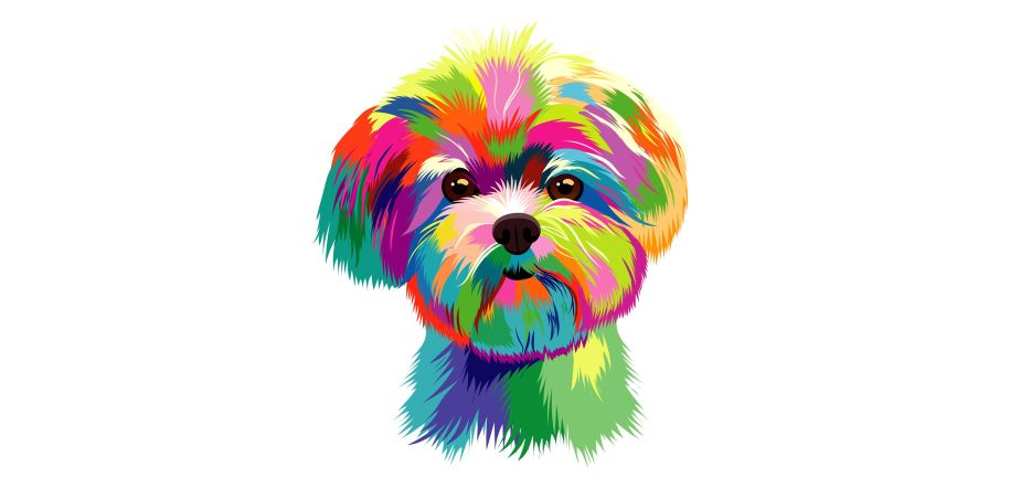 犬は色が見えるのか？