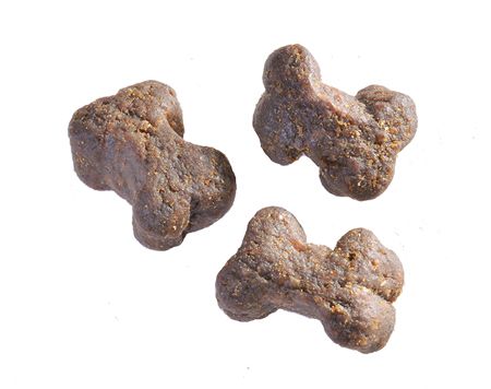 犬と猫の最新・皮膚科学 (サンダースベテリナリークリニクスシリーズ) カレン L.キャンベル カラーアトラスBOOKS 犬と猫の皮膚病【和英併記】 (Color Atlas Books