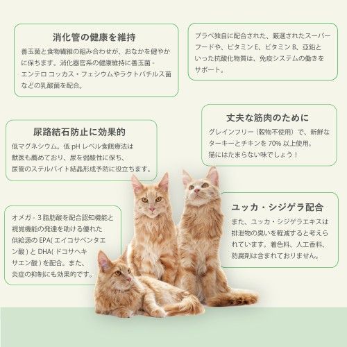24時間以内発送　ファルミナ　ベーシックキャットチキン&ターキー　 10kg 24時間以内発送ファルミナベーシックキャットチキン&ターキー 10kg