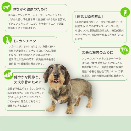 13種類のスーパーフード入りシニア犬用グレインフリードッグフード（7