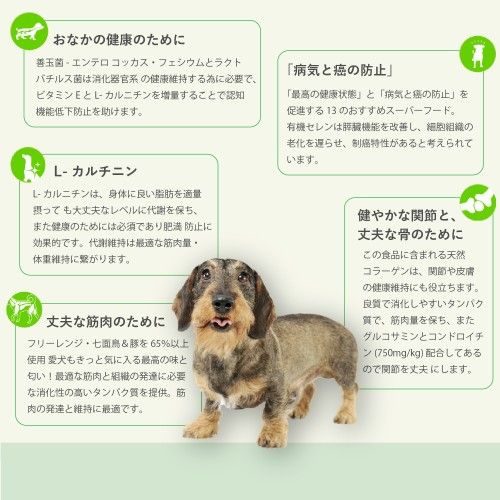 CP - ターキー, 豚肉 & かぼちゃ (シニア ( 7+) & 体重管理用）