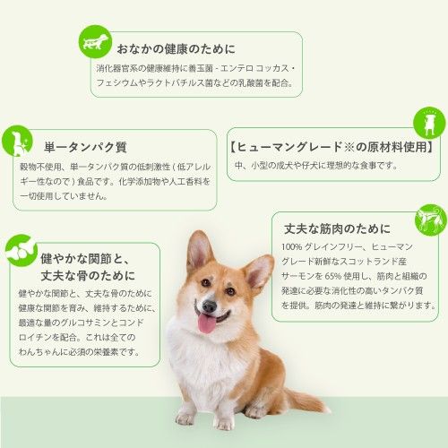 プラペ　グレインフリー ドッグフード サーモン＆ほうれん草　2kg×4 プラペ グレインフリー ドッグフード サーモン＆ほうれん草 2kg