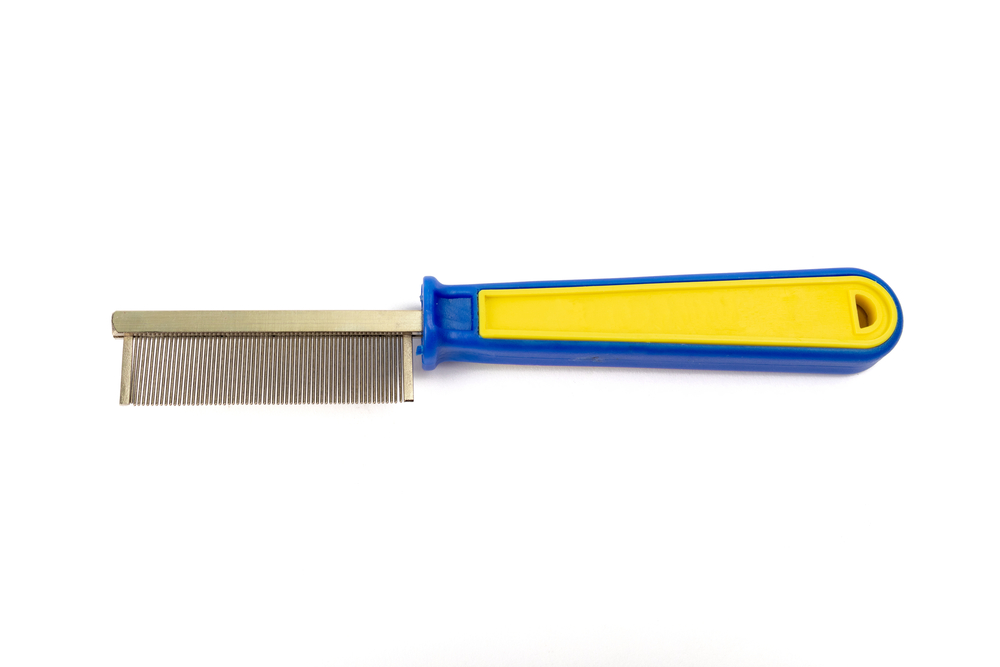 flea comb