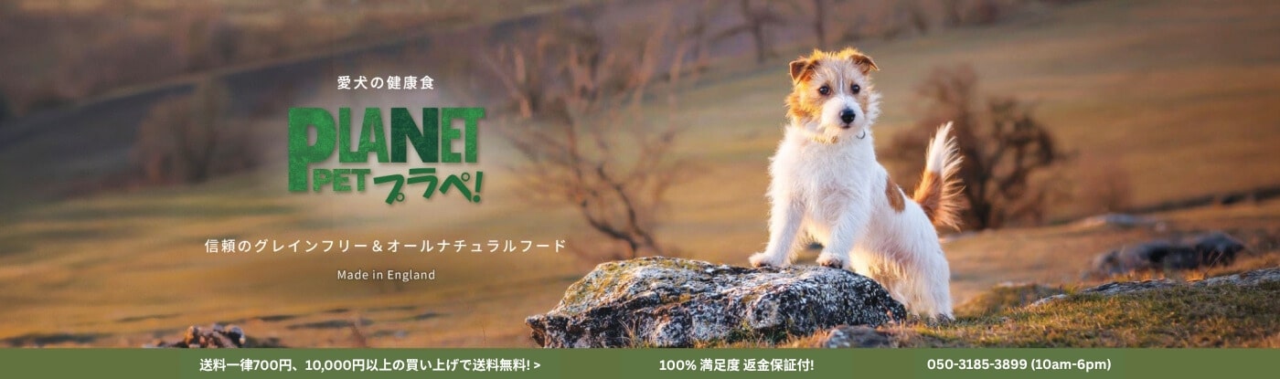 英国産のグレインフリー＆オールナチュラルドッグフード