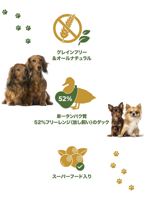ペットプラペ　ドックフード　鴨&オレンジ Amazon.co.jp: Planet Pet プラペ ! CP 鴨 & オレンジ