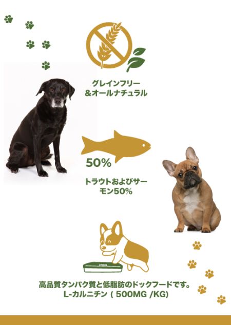 ドッグフード｜トラウト＆サーモン 【シニア 7+ & 体重管理用】