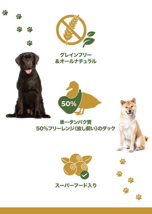 グレインフリーターキードッグフード・クランベリードッグフード