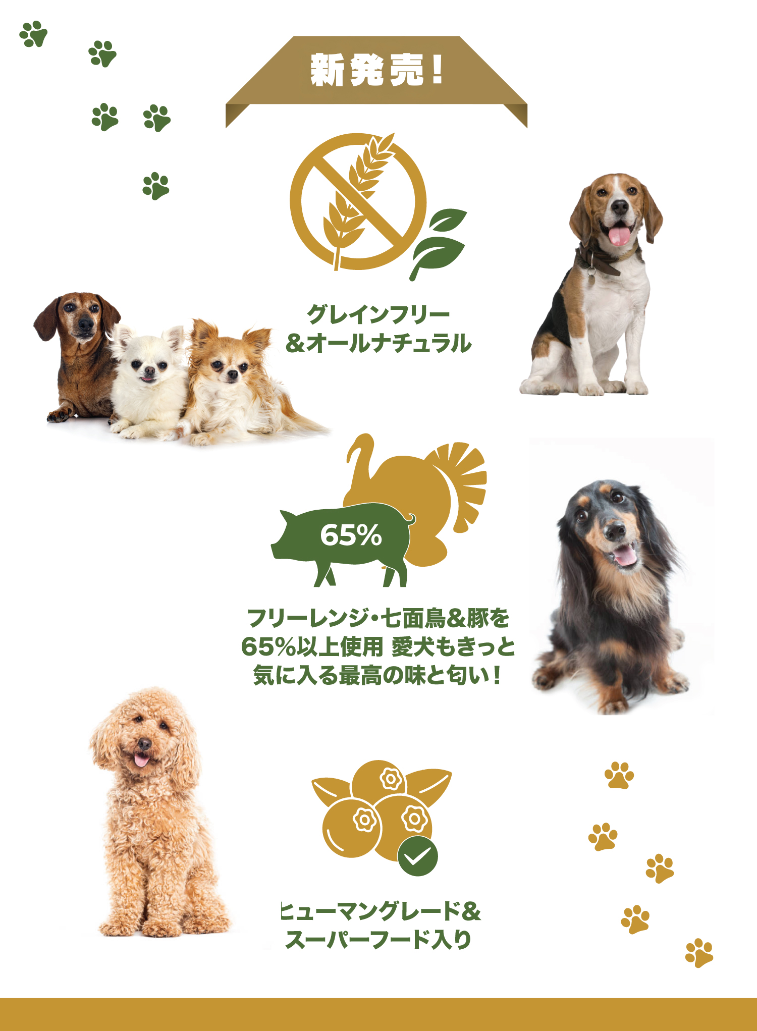 シニア犬用ドッグフード｜体重管理・高消化性｜グレインフリー｜プラぺ