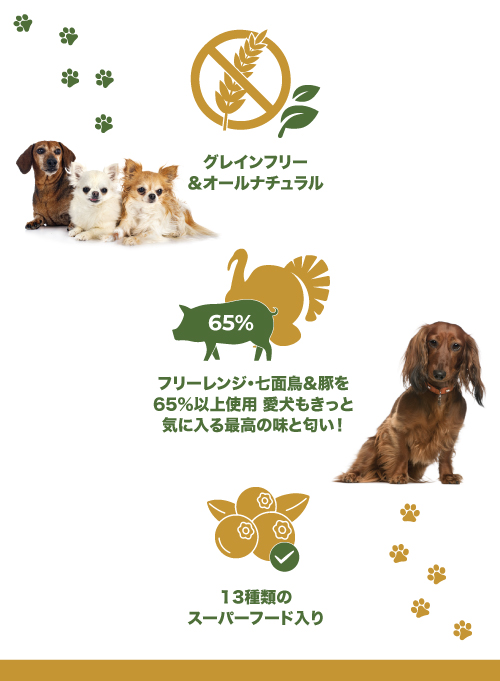 CP - ターキー, 豚肉 & かぼちゃ (シニア ( 7+) & 体重管理用）