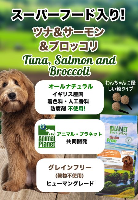 プラペ　グレインフリー ドッグフード サーモン＆ほうれん草　2kg×4 ドッグフード｜CP さーもん＆ほうれん草
