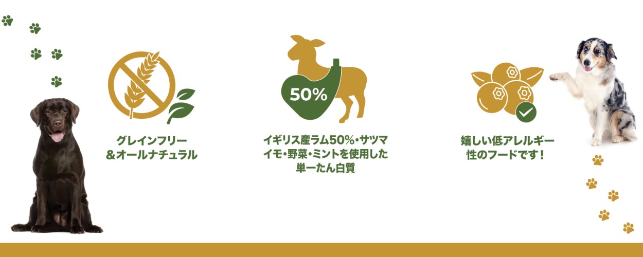 gff-image